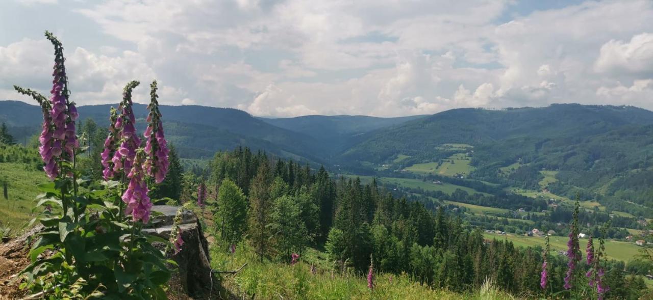 Chalupa Relax Dolni Lomna Exterior photo